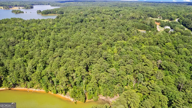 a view of a big yard with plants and large trees