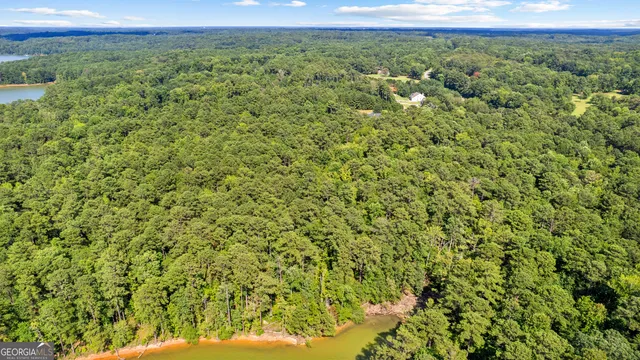 a view of a green field with lots of bushes