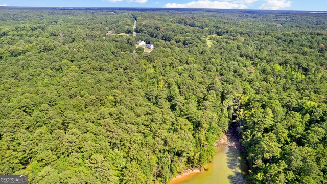 a view of a green field with lots of bushes