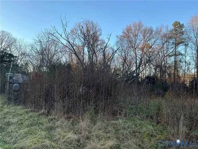 a view of a lush green forest