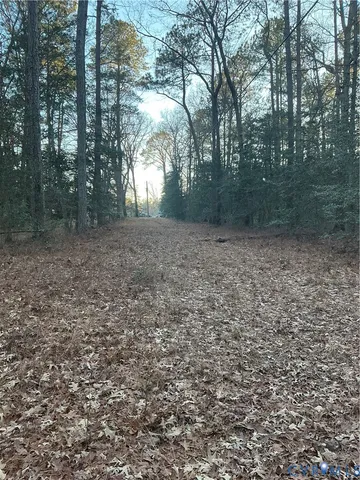 a view of a yard with trees