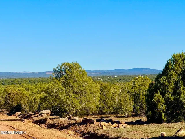 a view of a yard with an ocean view