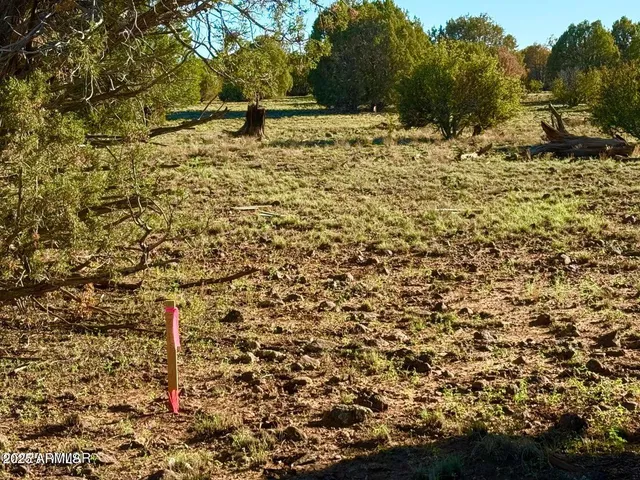 a view of a mountain