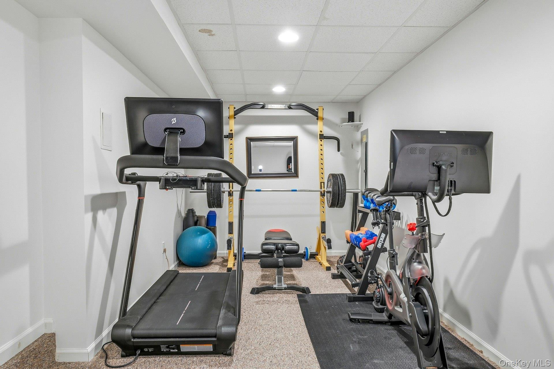 106 Thayer Road Manhasset, NY 11030 - Photo 33 of 40