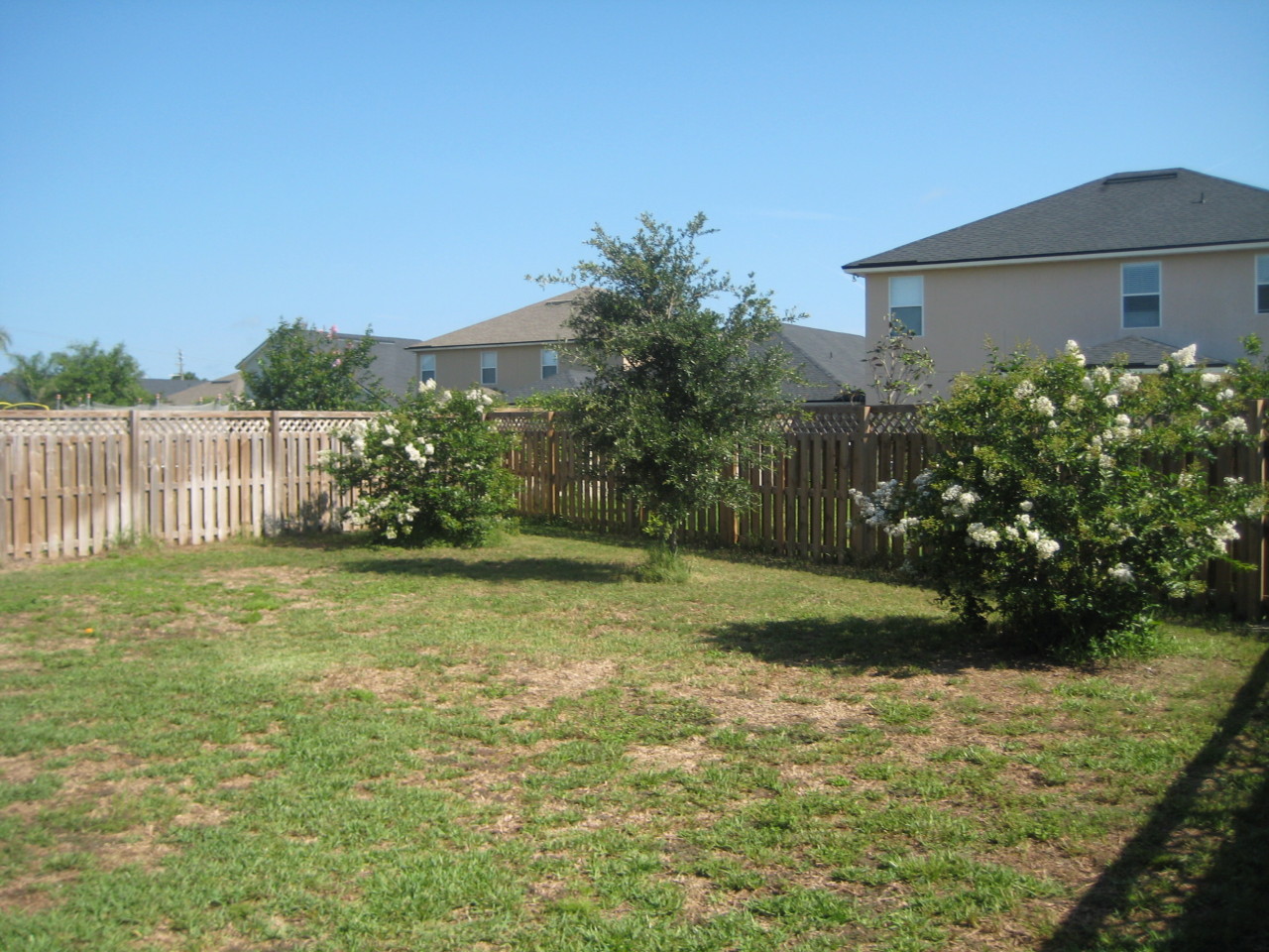 932 Silver Spring Court St. Augustine, FL 32092 - Photo 11 of 18 Backyard