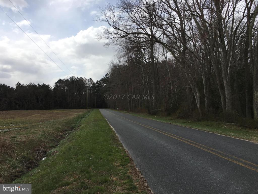 Fleming Mill Road Pocomoke City, MD 21851 - Photo 2 of 7 Gallery Image 2