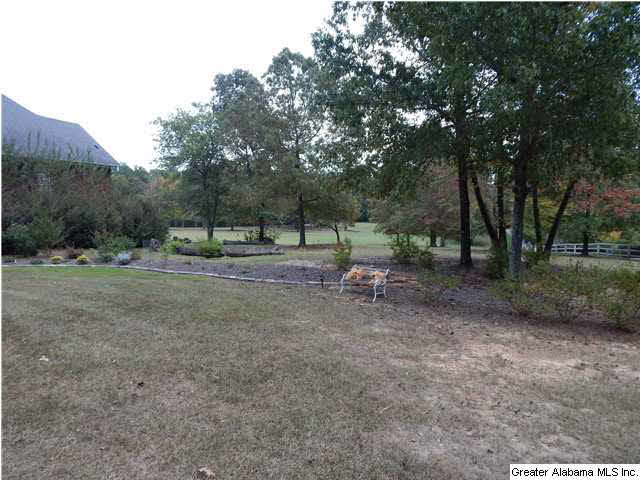 200 Ridge View Way Springville, AL 35146 - Photo 3 of 14