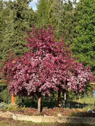 $420,000 | 502 Wildflower Lane, Newport, WA 99156