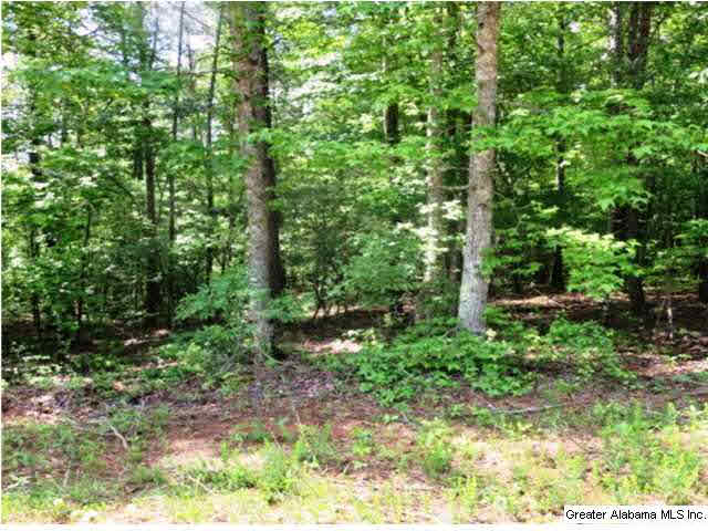 Thomas Lane, Unit 4 Ashland, AL 36251 - Photo 3 of 4