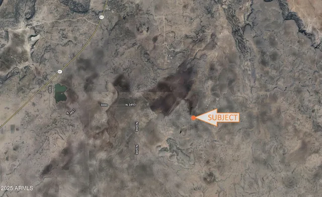 a view of a dry yard