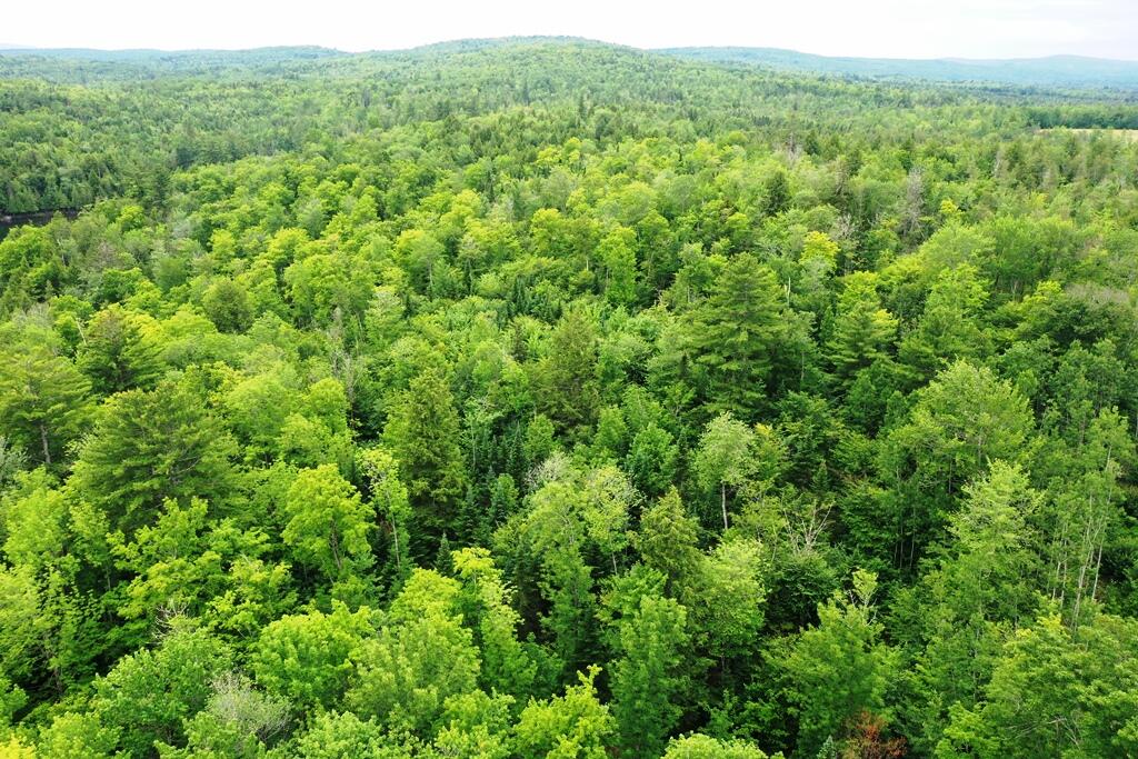 0 Larrabee Road Parkman, ME 04443 - Photo 11 of 21 DJI_0599