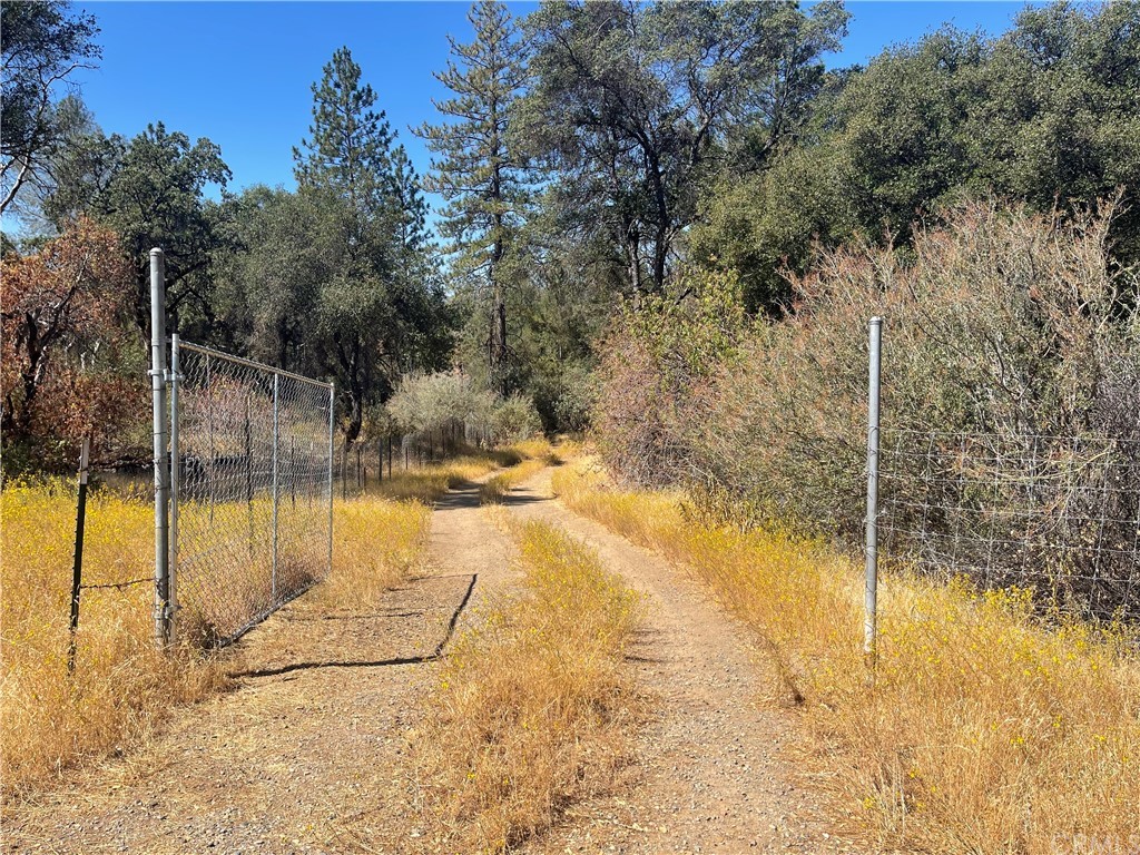 4011 Pacific Bars Road Mariposa, CA 95338 - Photo 1 of 1 Entering Property
