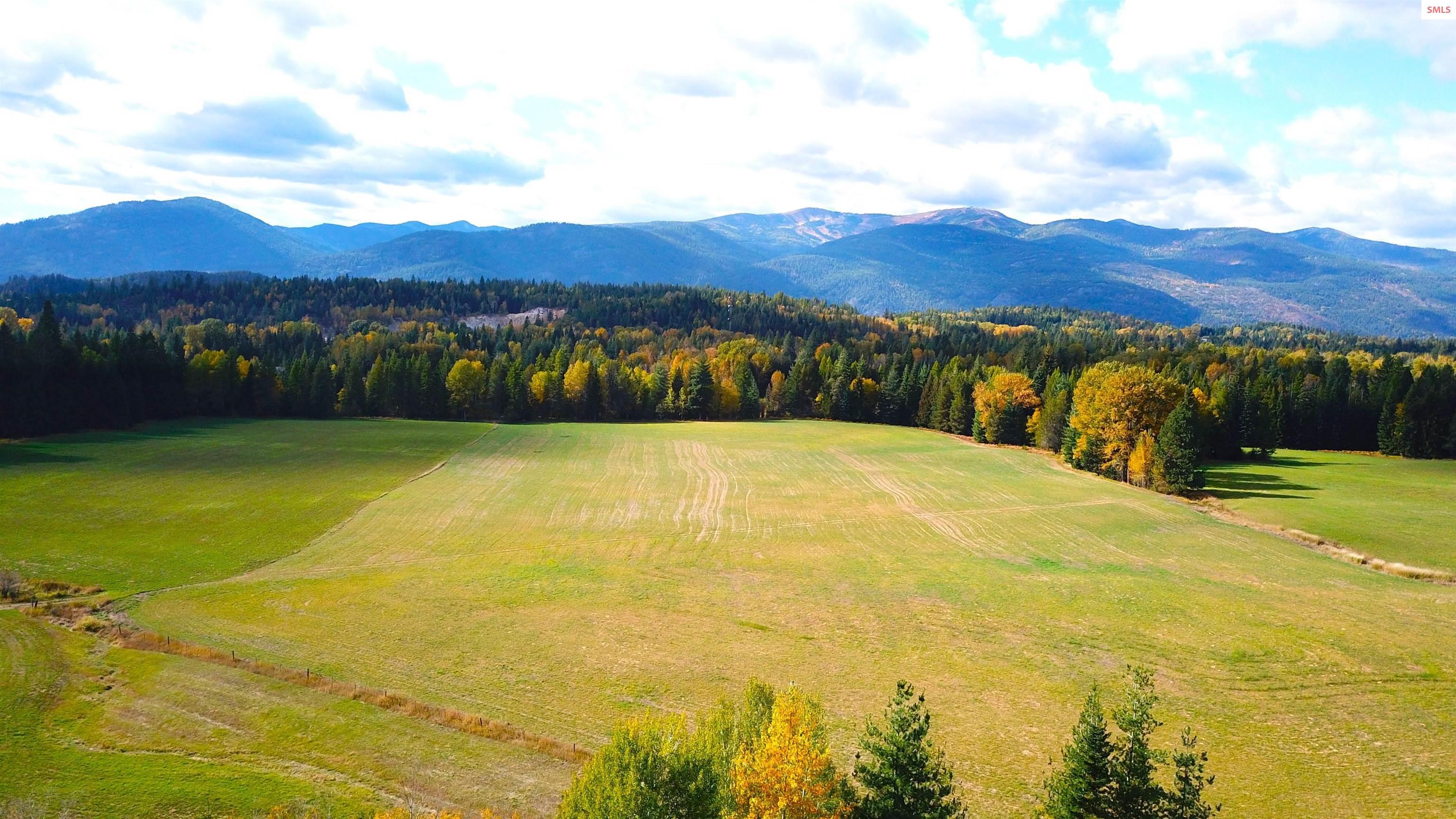 215 East Shingle Mill Road Sandpoint, ID 83864 - Photo 21 of 35