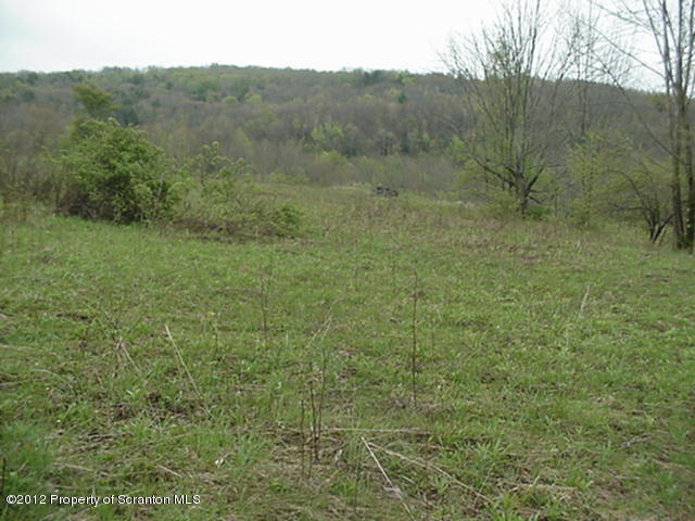 0 Oliver Road New Milford, PA 18834 - Photo 3 of 4 vacant field-3rd pic