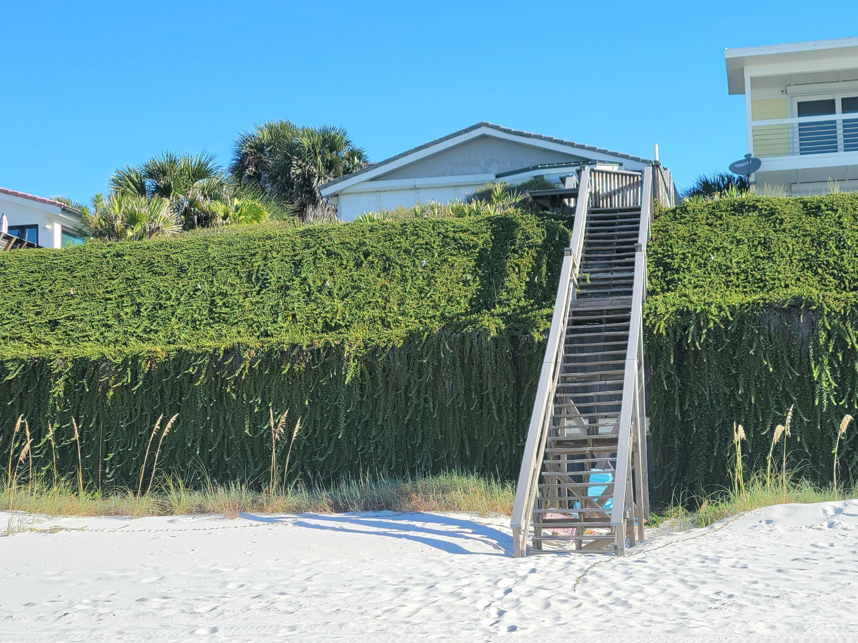 250 Sand Cliffs Drive Inlet Beach, FL 32461 - Photo 3 of 35 a view of a backyard with pathway