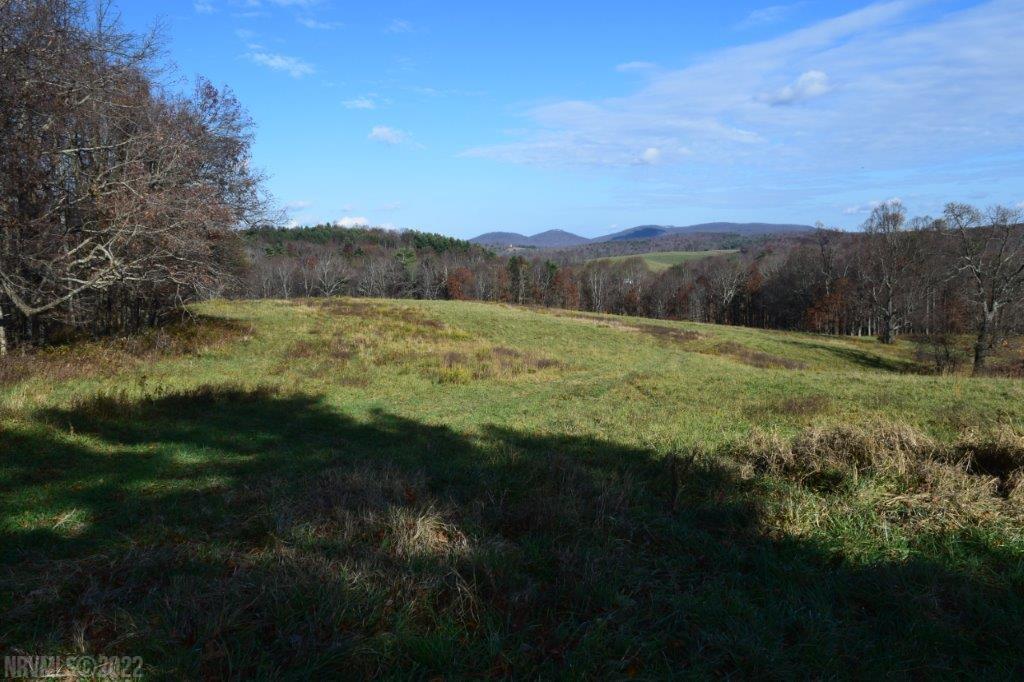 Tbd Spring Dale Road Southwest Floyd, VA 24091 - Photo 10 of 44 Gallery Image 10