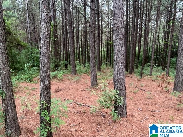0 County Road 92, Unit X Graham, AL 36263 - Photo 12 of 13