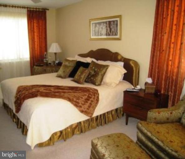 11250 Handlebar Road Reston, VA 20191 - Photo 14 of 29 Master Bedroom