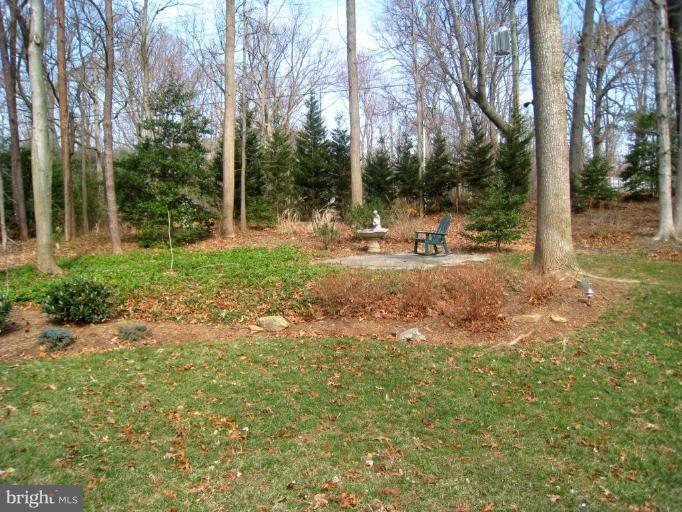 11250 Handlebar Road Reston, VA 20191 - Photo 22 of 29 Back Yard w/Shed