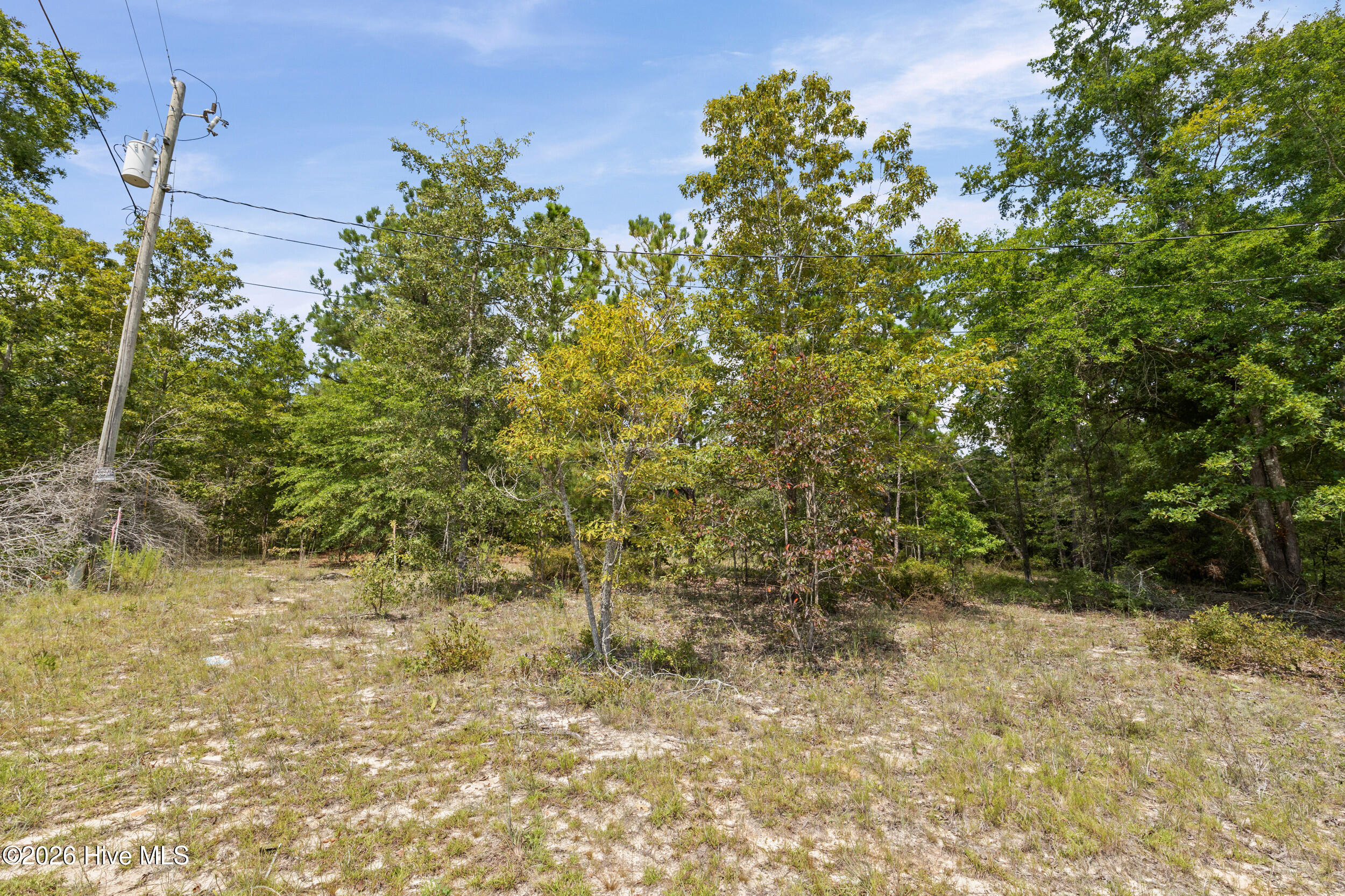 Lot 16 Farmers Bridge Road Hephzibah, GA 30815 - Photo 4 of 21 Gallery Image 4