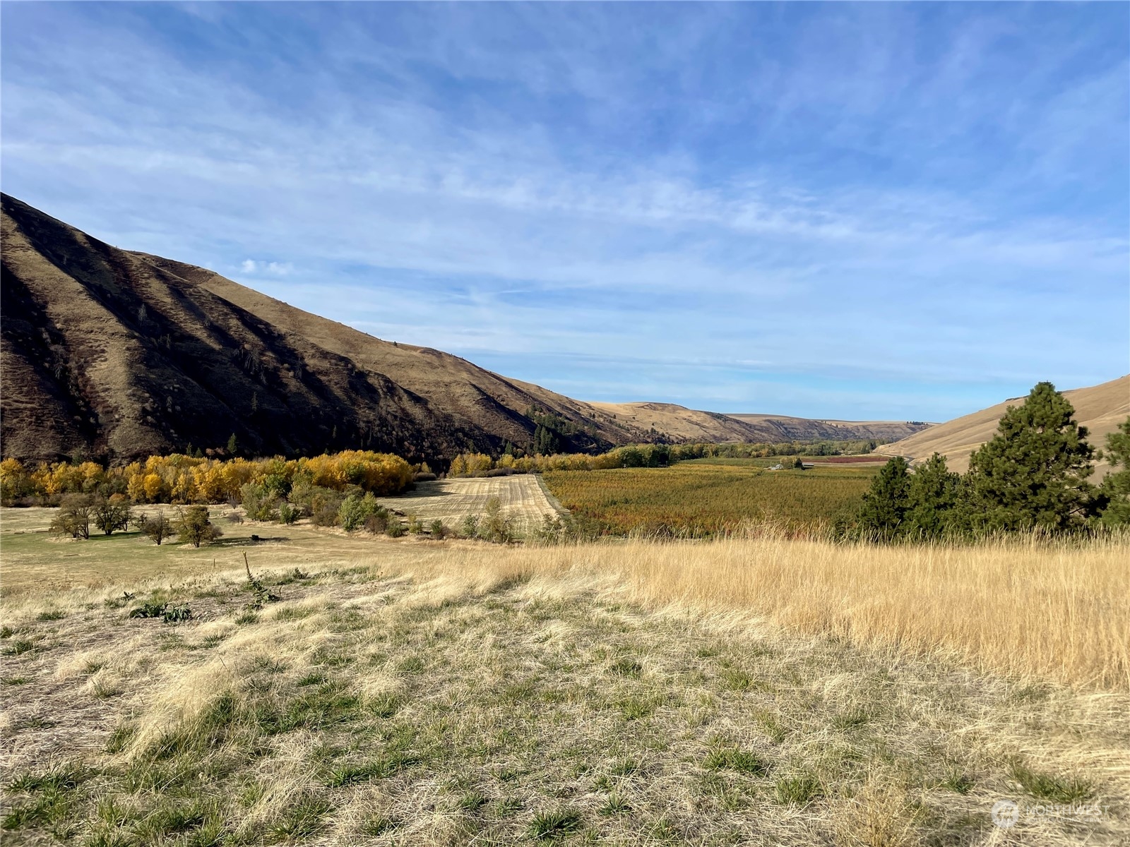 0 North Touchet Road Dayton, WA 99328 - Photo 4 of 6 a view of lake with mountain