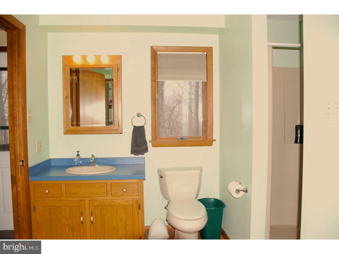 163 Mail Rte Road Sinking Spring, PA 19608 - Photo 18 of 25 a bathroom with a toilet sink and mirror