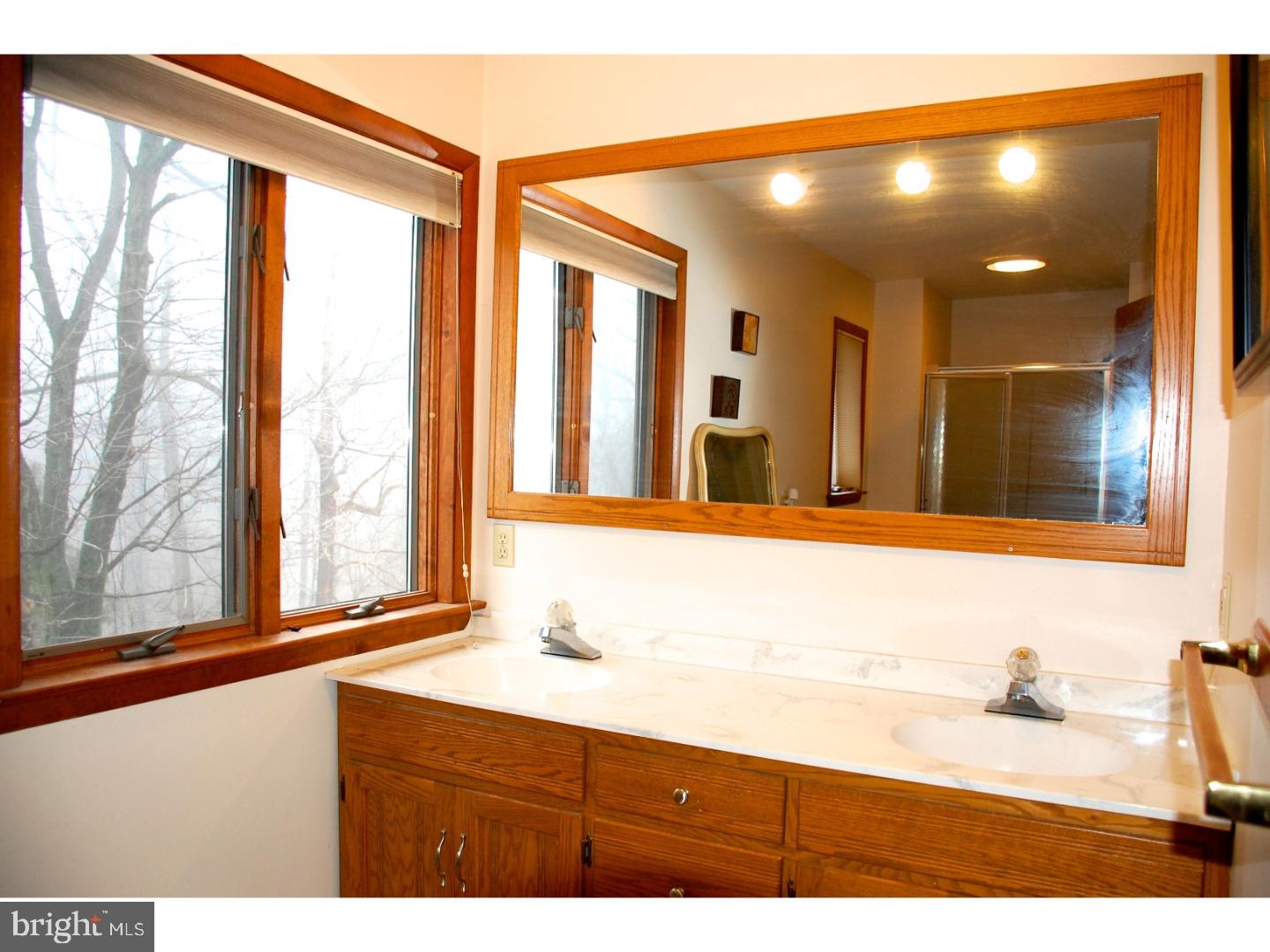 163 Mail Rte Road Sinking Spring, PA 19608 - Photo 20 of 25 a bathroom with a sink and a large mirror