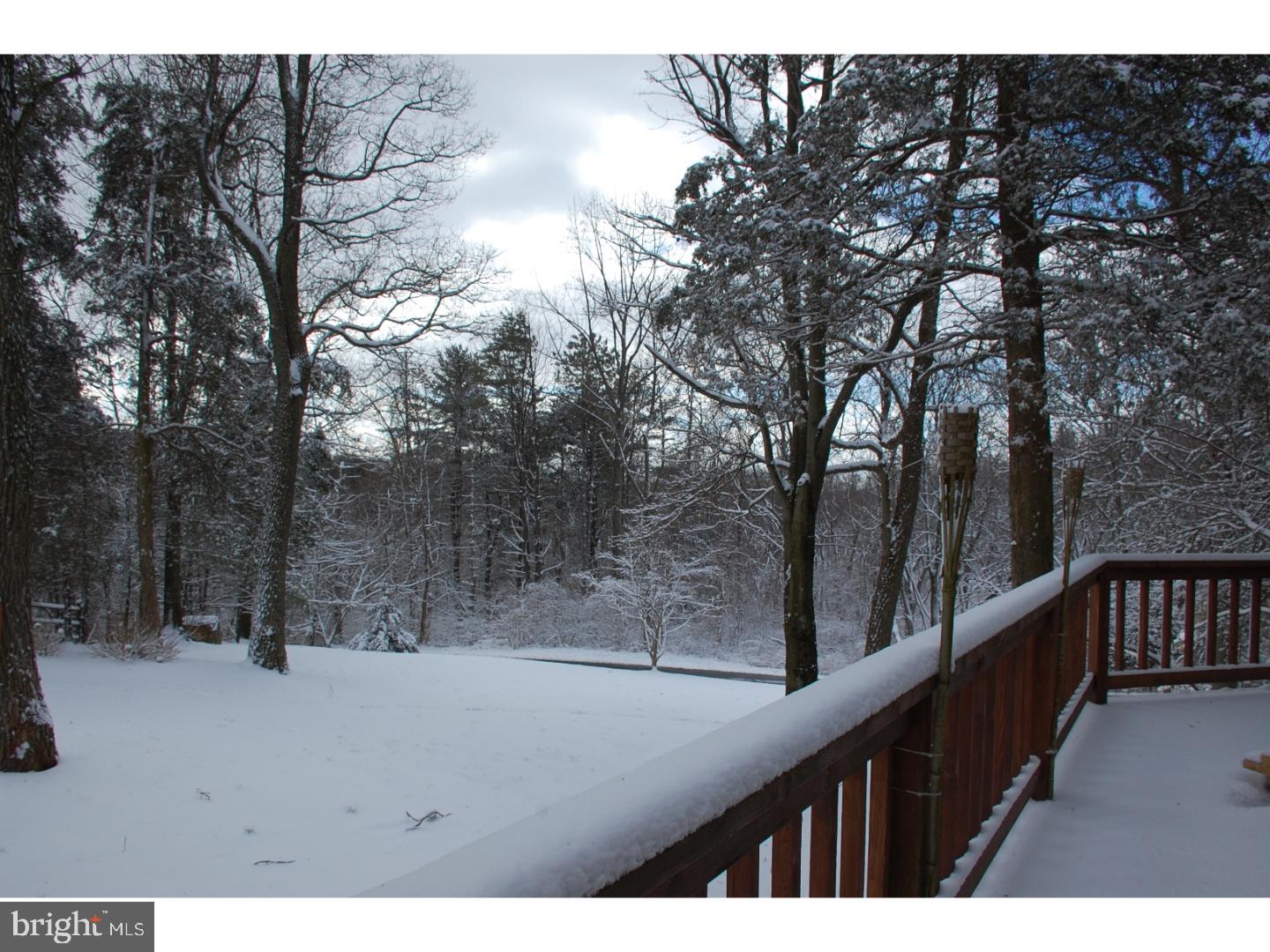 163 Mail Rte Road Sinking Spring, PA 19608 - Photo 4 of 25 a view of outdoor space with trees