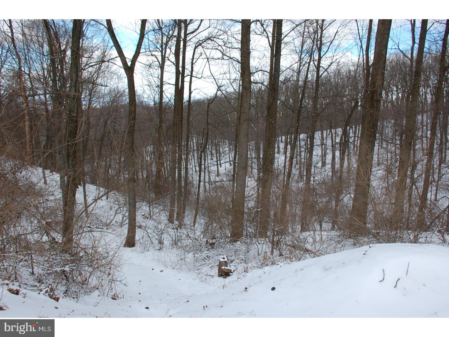 163 Mail Rte Road Sinking Spring, PA 19608 - Photo 6 of 25 a view of a backyard of the house