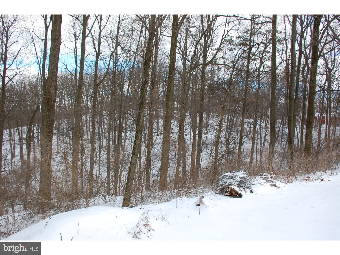 163 Mail Rte Road Sinking Spring, PA 19608 - Photo 7 of 25 a view of wooden fence and trees