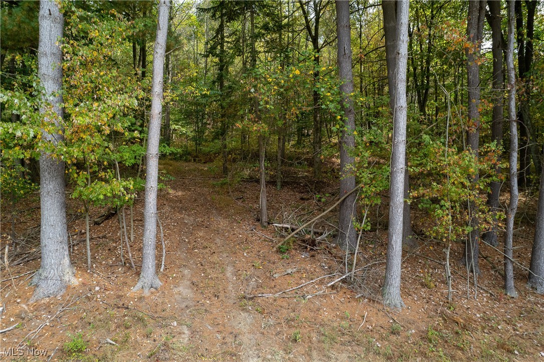 6113 Middle Run Road Dover, OH 44622 - Photo 4 of 8 View of nature