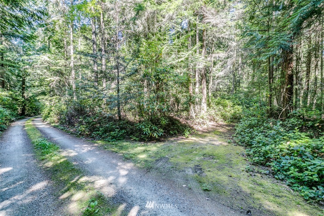 9999 Middlepoint Road Port Townsend, WA 98368 - Photo 2 of 15 Gallery Image 2
