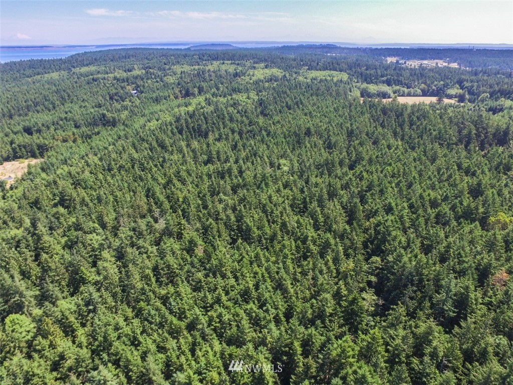 9999 Middlepoint Road Port Townsend, WA 98368 - Photo 11 of 15 Gallery Image 11