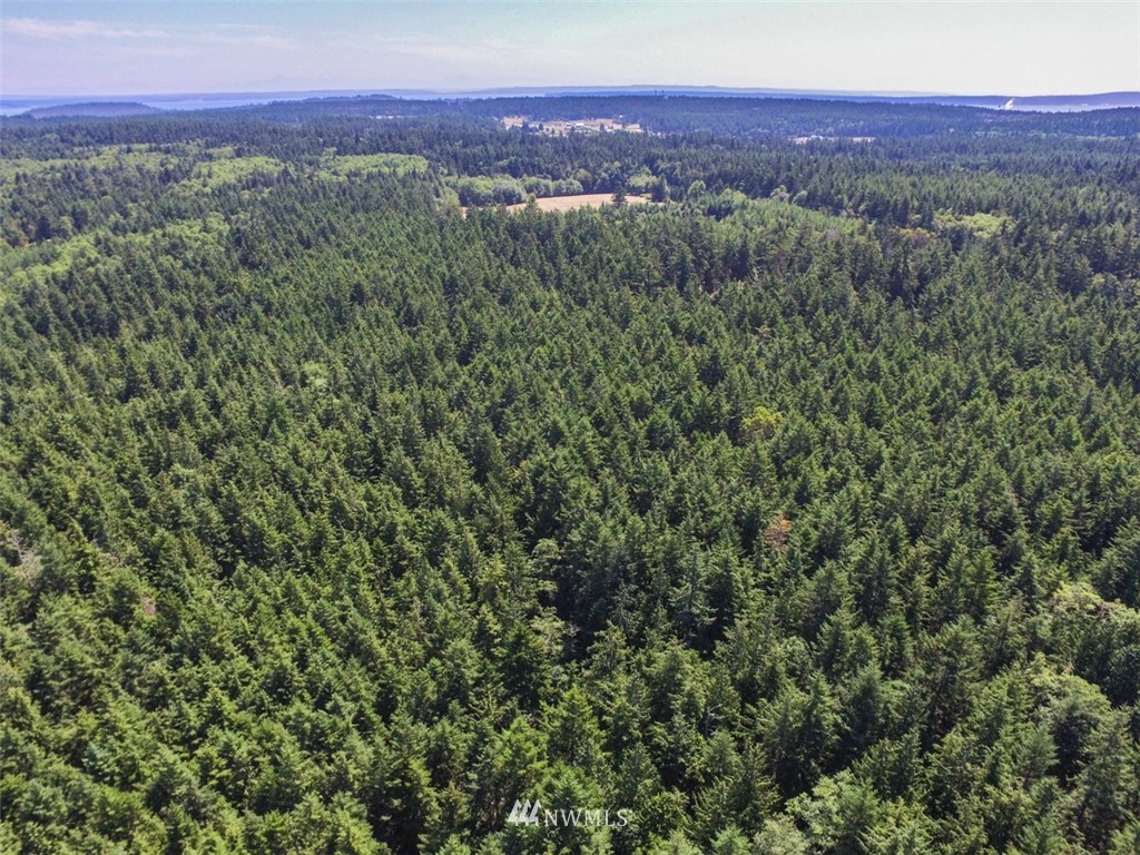 9999 Middlepoint Road Port Townsend, WA 98368 - Photo 12 of 15 Gallery Image 12