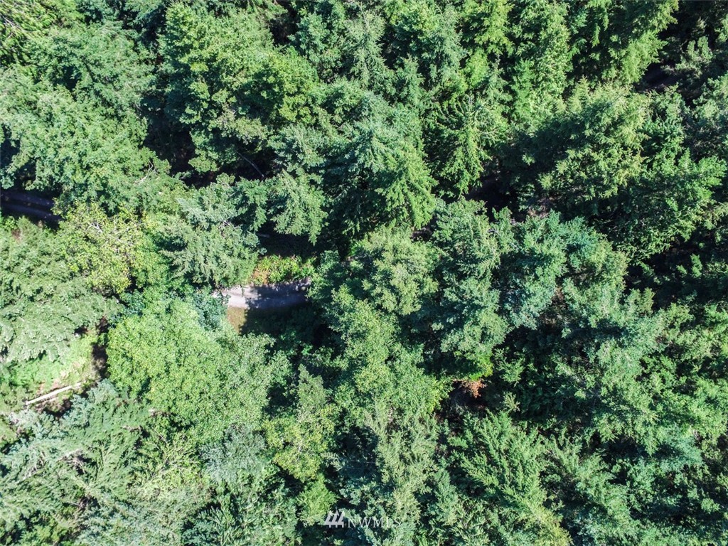 9999 Middlepoint Road Port Townsend, WA 98368 - Photo 13 of 15 Gallery Image 13