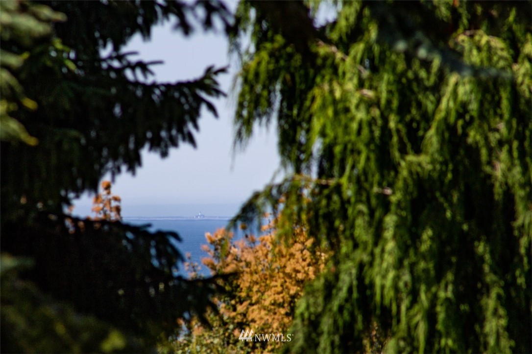 9999 Middlepoint Road Port Townsend, WA 98368 - Photo 14 of 15 Gallery Image 14