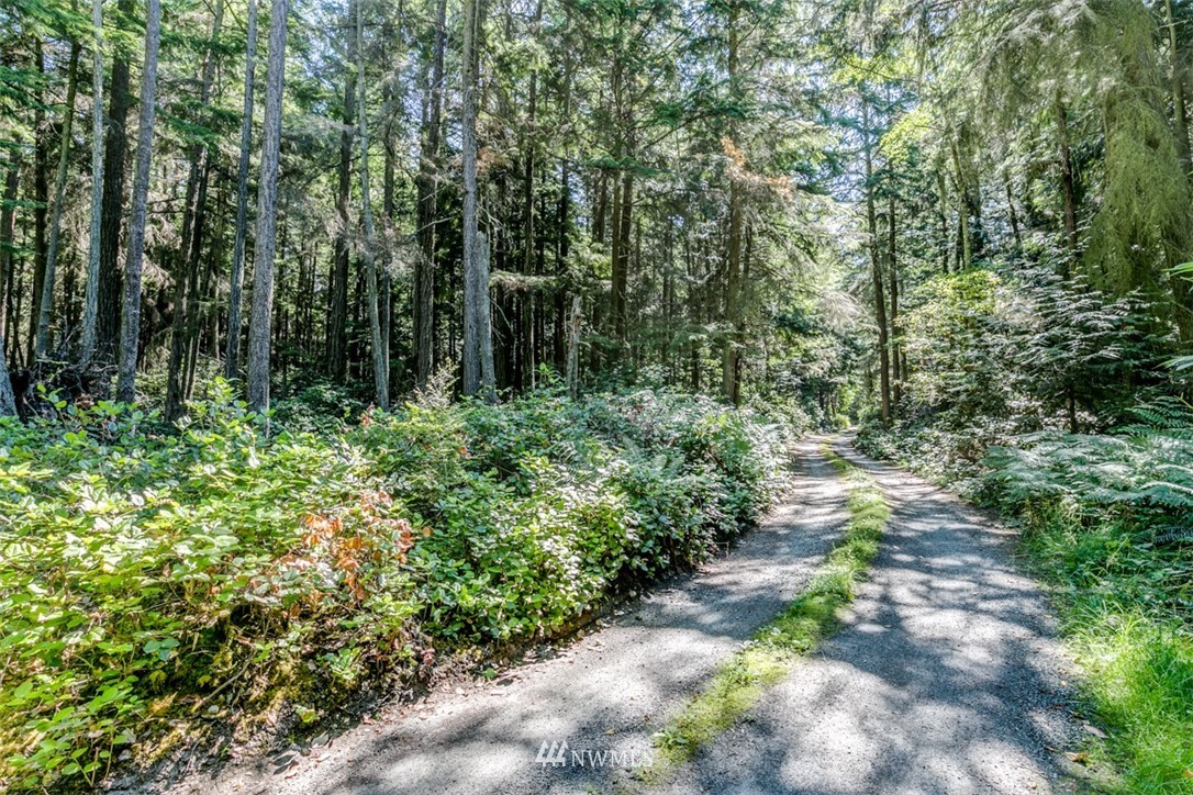 9999 Middlepoint Road Port Townsend, WA 98368 - Photo 3 of 15 Gallery Image 3