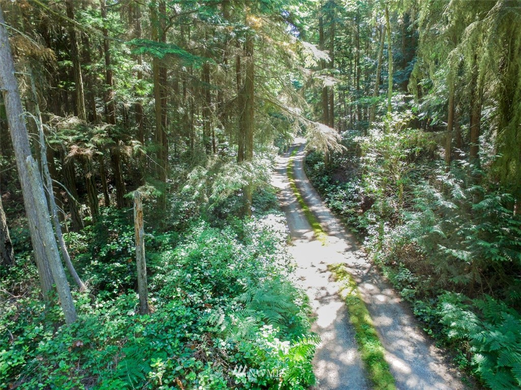 9999 Middlepoint Road Port Townsend, WA 98368 - Photo 4 of 15 Gallery Image 4