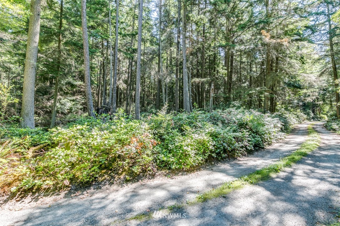 9999 Middlepoint Road Port Townsend, WA 98368 - Photo 5 of 15 Gallery Image 5