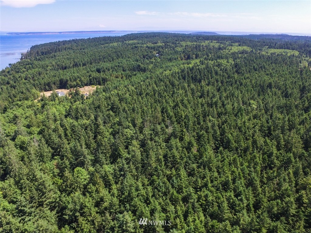 9999 Middlepoint Road Port Townsend, WA 98368 - Photo 10 of 15 Gallery Image 10