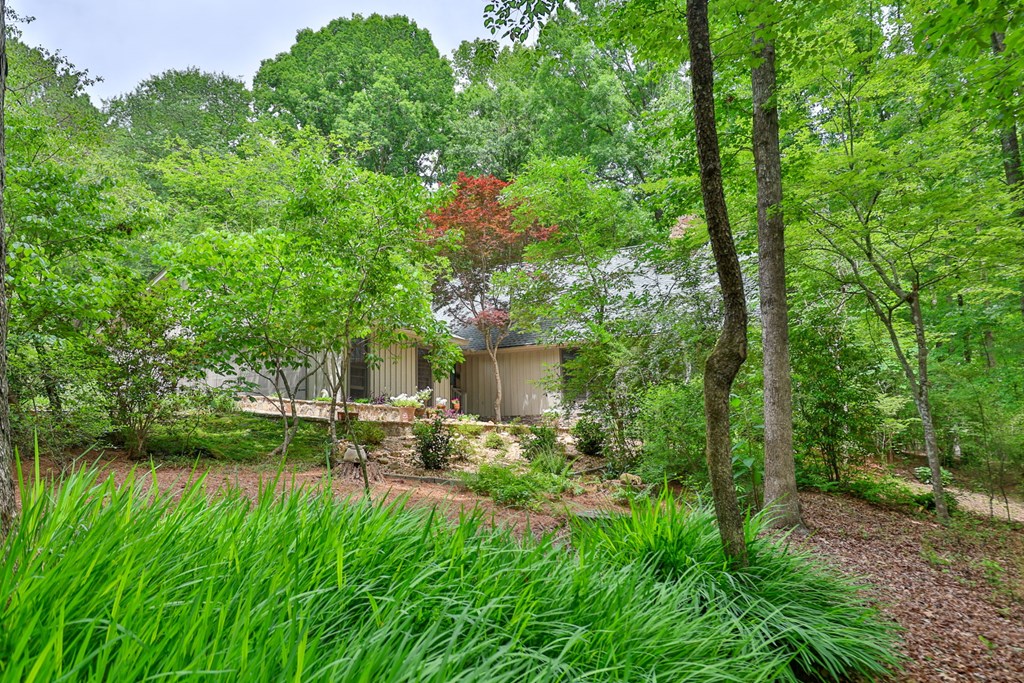 392 Mayo Road Ellerslie, GA 31807 - Photo 2 of 62 Front of Home