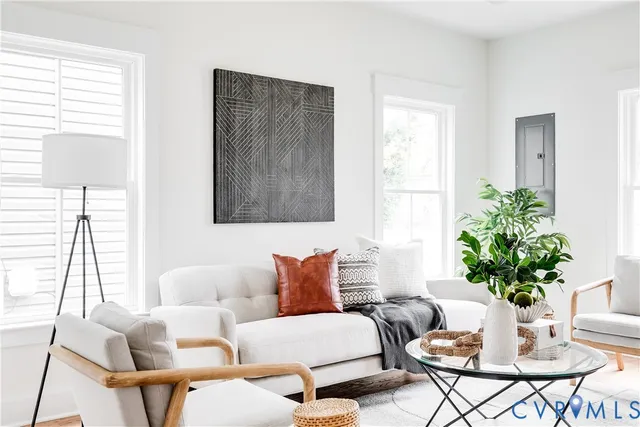 a living room with furniture and a potted plant