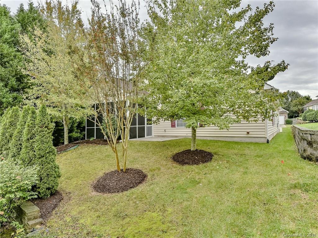 389 Garnet Court Fort Mill, SC 29708 - Photo 28 of 29 a swimming pool with a tree in the background