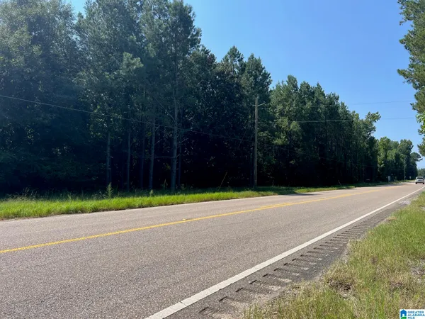 $120,000 | 4440 Highway 22, Stanton, AL 36790