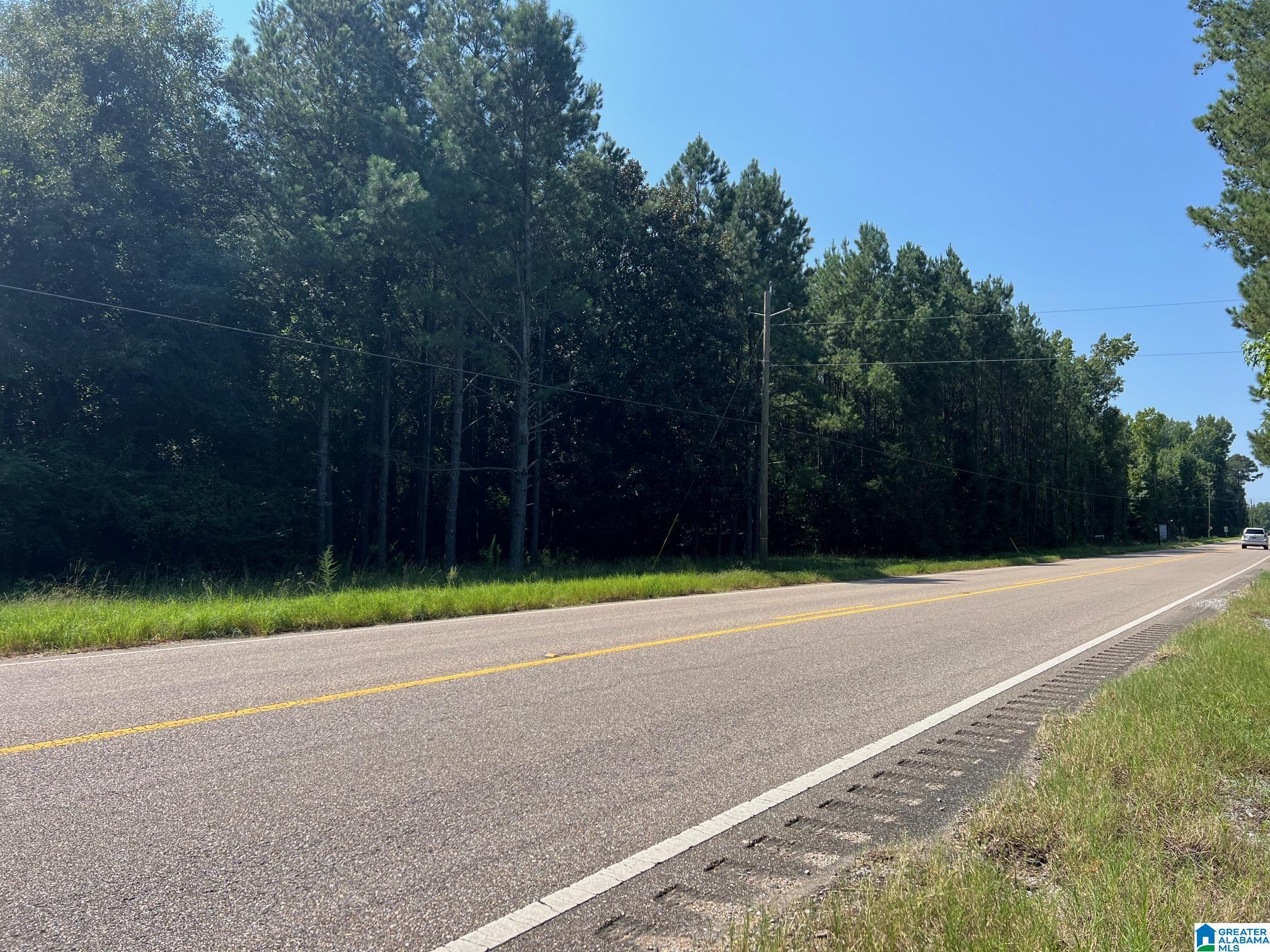 4440 Highway 22 Stanton, AL 36790 - Photo 1 of 7