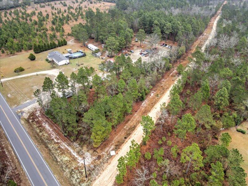 112 Kings Way Monetta, SC 29105 - Photo 2 of 14 a view of a tree with a yard