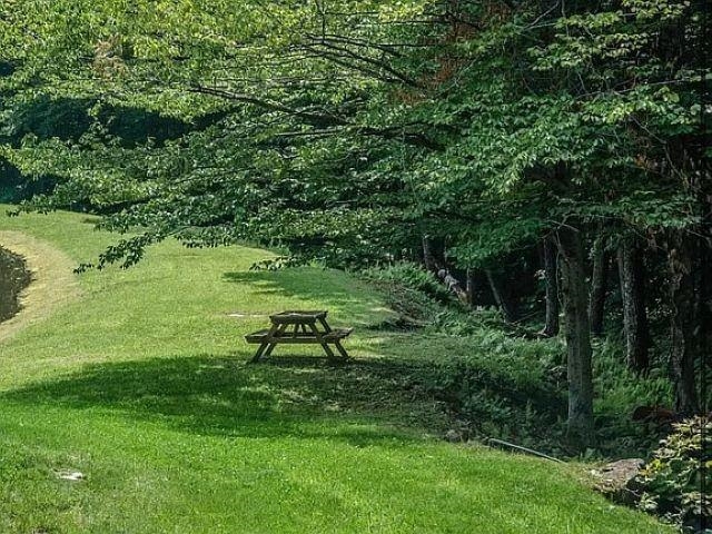 3268 Brown Schoolhouse Road Reading, VT 05062 - Photo 23 of 24