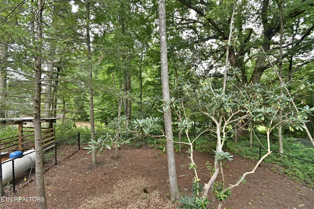 $550,000 | 5050 Hooper Highway, Cosby, TN 37722