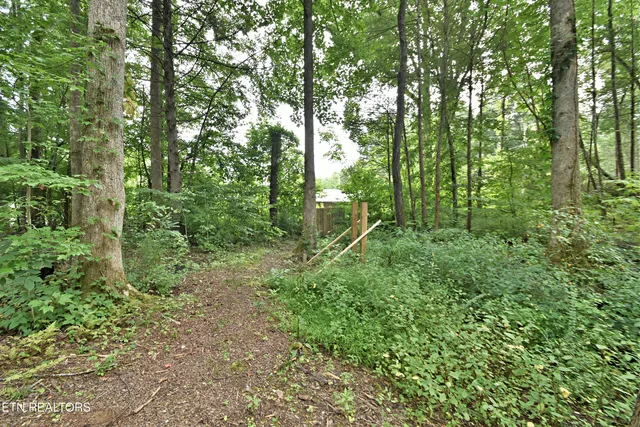 $550,000 | 5050 Hooper Highway, Cosby, TN 37722