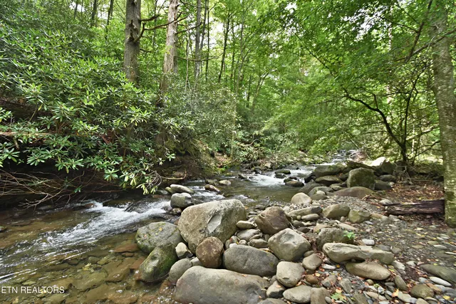 $550,000 | 5050 Hooper Highway, Cosby, TN 37722